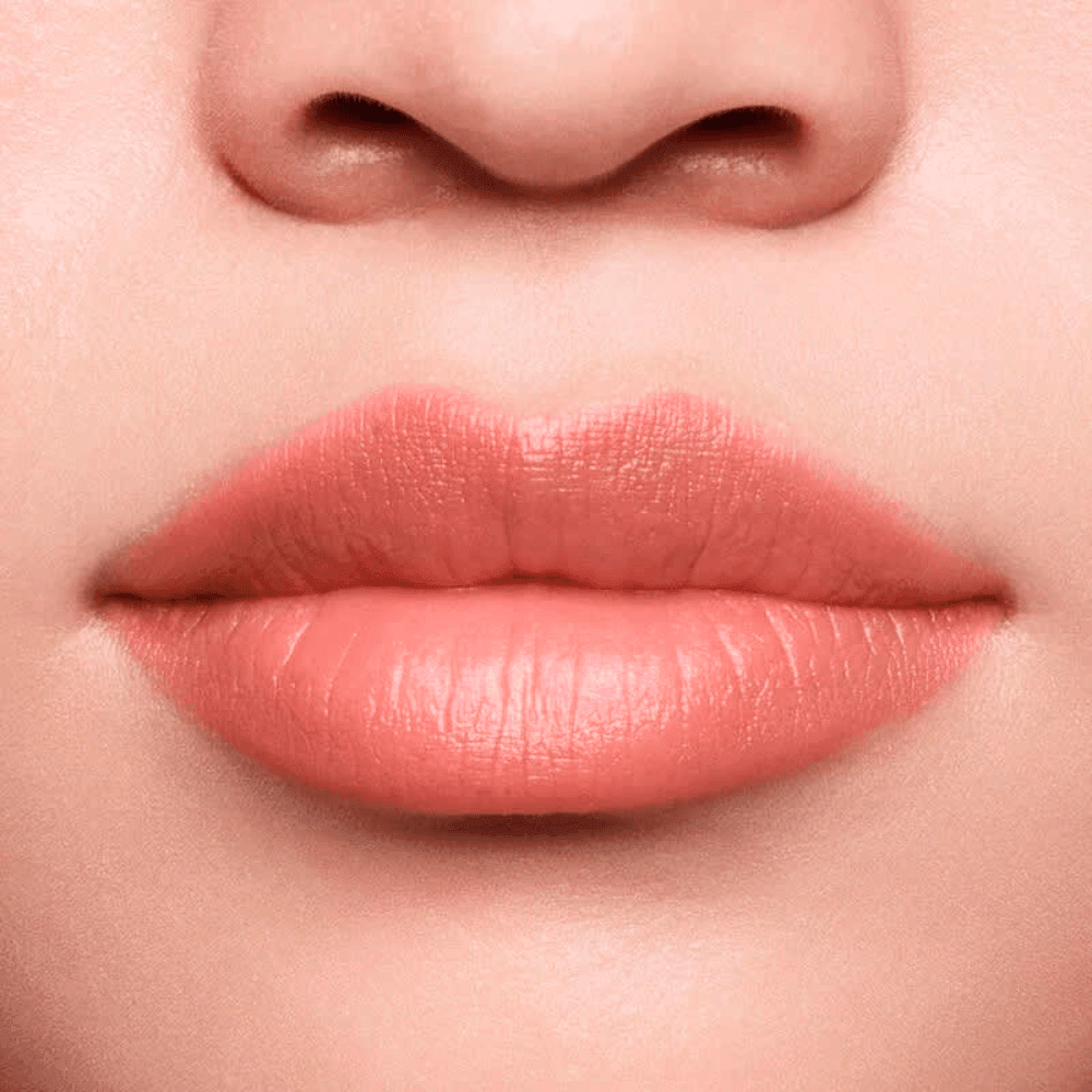 Shiseido Lápis e Primer Labial InkDuo