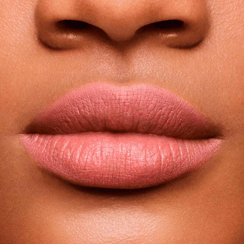Shiseido Lápis e Primer Labial InkDuo