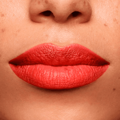 Shiseido Lápis e Primer Labial InkDuo