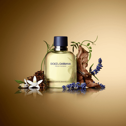 Dolce & Gabbana Pour Homme Eau de Toilette Masculino