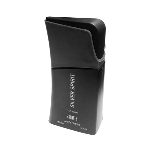 ISCENTS SILVER SPIRIT EDT 100ML